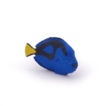 media/pim/poisson-chirurgien-3465000560249_6.jpg
