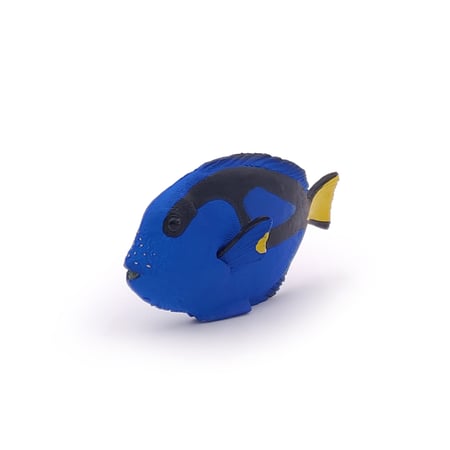 media/pim/poisson-chirurgien-3465000560249_7.jpg