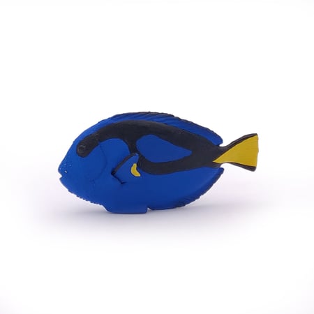 media/pim/poisson-chirurgien-3465000560249_8.jpg