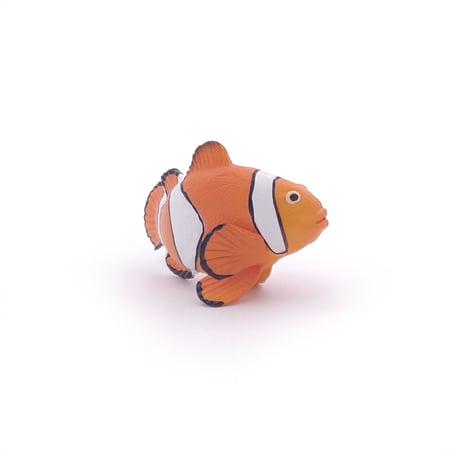 media/pim/poisson-clown-3465000560232_8.jpg