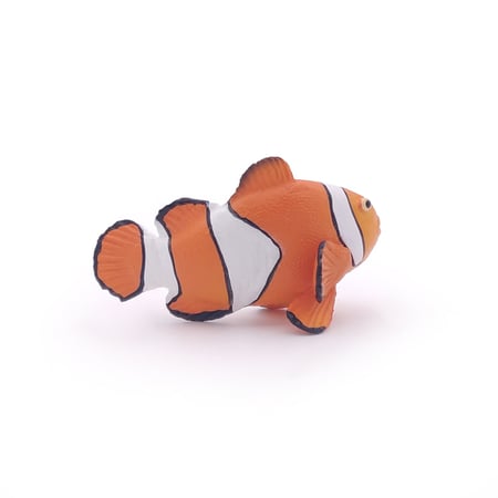 media/pim/poisson-clown-3465000560232_9.jpg