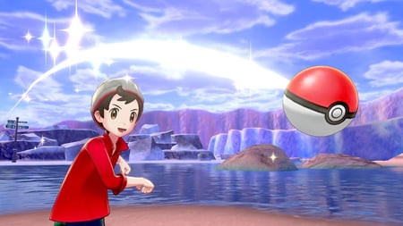 media/pim/pokemon-bouclier-pass-d-extension-0045496426859_8.jpg