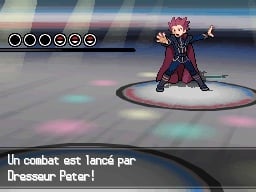 media/pim/pokemon-version-blanche-2-0045496465544_4.jpg