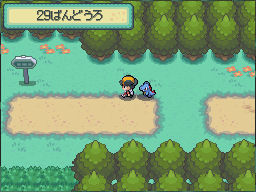media/pim/pokemon-version-or-heartgold-pokewalker-0045496469658_11.jpg