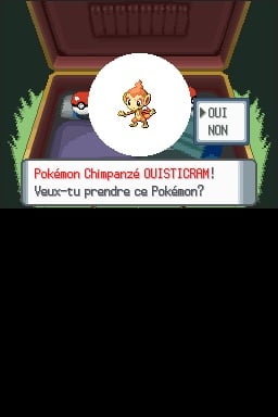 media/pim/pokemon-version-perle-0045496464943_5.jpg