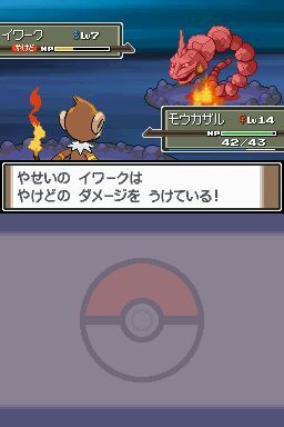 media/pim/pokemon-version-platine-ds-0045496468651_10.jpg