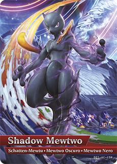media/pim/pokken-tournament-1-carte-0045496335564_4.jpg