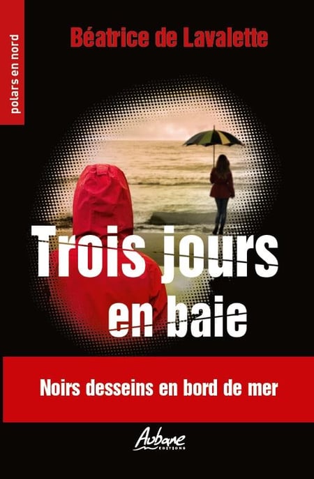 media/pim/polars-en-nord-t246-trois-jours-en-baie-noirs-desseins-en-bord-de-mer-9782492738098_0.jpg