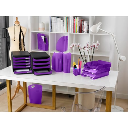 media/pim/porte-revues-violet-9002493019300_0.jpg