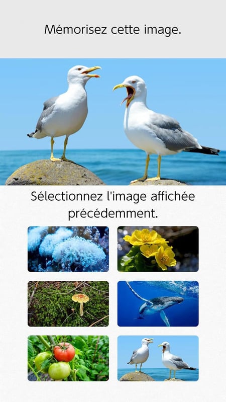 media/pim/programme-d-entrainement-cerebral-du-0045496425913_8.jpg