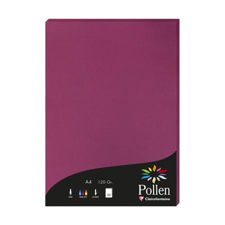 media/pim/ramette-a4-120g-50f-framboise-ramette-a4-120g-50f-framboise-3329680042061_0.jpg