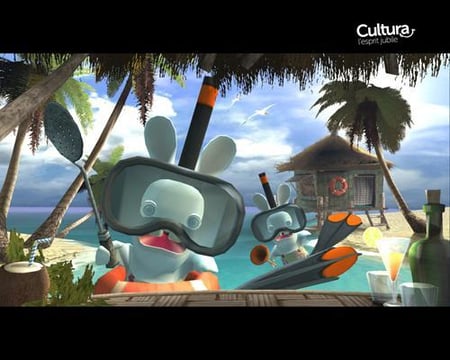media/pim/rayman-contre-les-lapins-cretins-wii-3307210230157_5.jpg