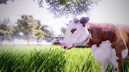 media/pim/real-farm-8718591183935_4.jpg