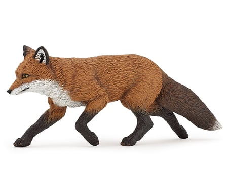 media/pim/renard-renard-3465000530204_0.jpg