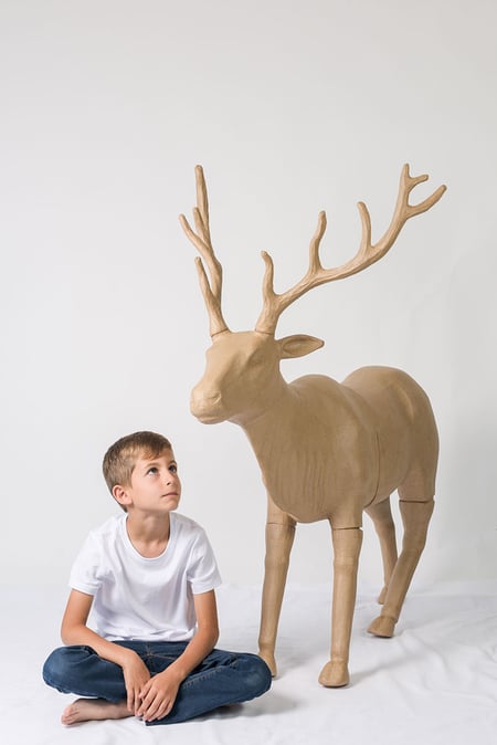 media/pim/renne-pap-mach-xxl-120x136cm-renne-pap-mach-xxl-120x136cm-3609510150075_1.jpg