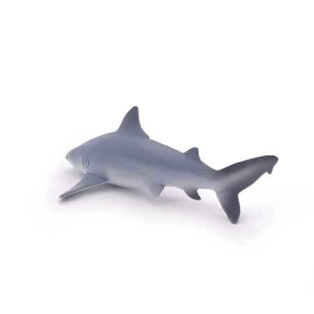 media/pim/requin-bouledogue-3465000560447_10.jpg