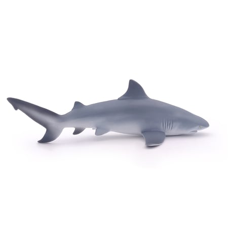 media/pim/requin-bouledogue-3465000560447_8.jpg