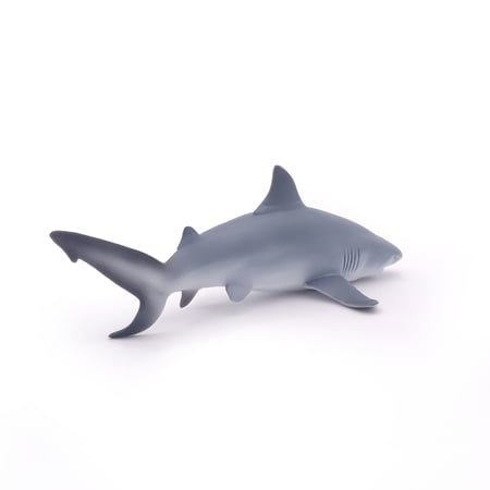 media/pim/requin-bouledogue-3465000560447_9.jpg