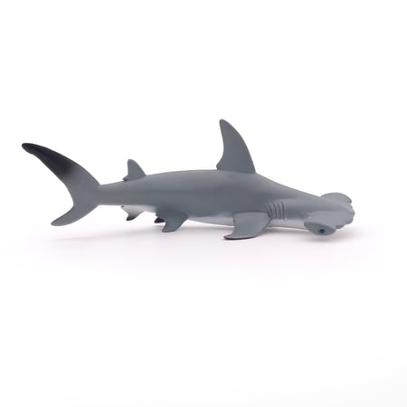 media/pim/requin-marteau-requin-marteau-3465000560102_0.jpg