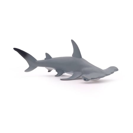 media/pim/requin-marteau-requin-marteau-3465000560102_6.jpg