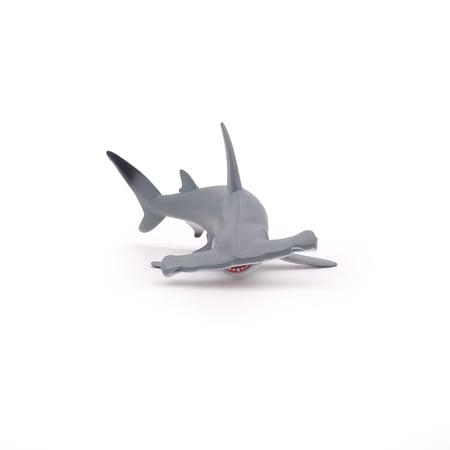 media/pim/requin-marteau-requin-marteau-3465000560102_7.jpg