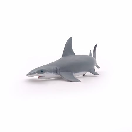 media/pim/requin-marteau-requin-marteau-3465000560102_8.jpg
