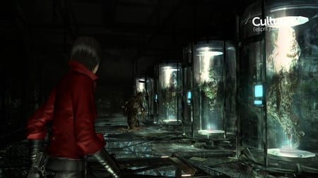 media/pim/resident-evil-6-5055060928028_8.jpg