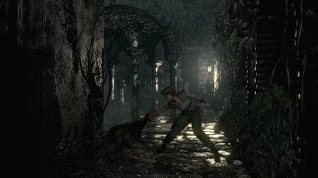 media/pim/resident-evil-origins-5055060931066_7.jpg