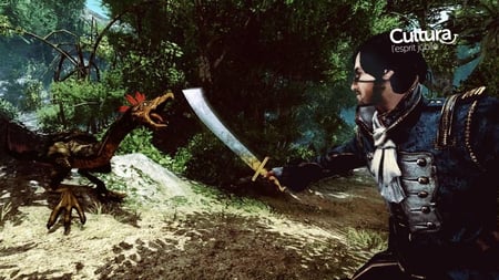 media/pim/risen-2-dark-waters-4020628506896_7.jpg