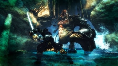 media/pim/risen-2-dark-waters-4020628506896_9.jpg