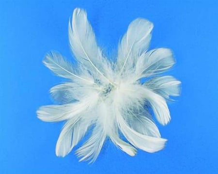 media/pim/sachet-plumes-deco-5-10cm-5g-b-sachet-plumes-deco-5-10cm-5g-blanc-4006166077647_0.jpg