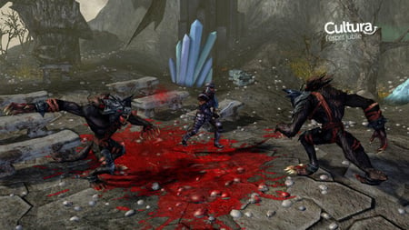 media/pim/sacred-2-fallen-angels-x360-4020628502041_3.jpg
