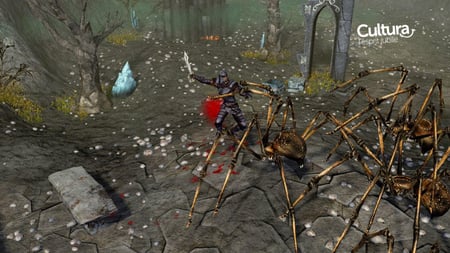 media/pim/sacred-2-fallen-angels-x360-4020628502041_5.jpg