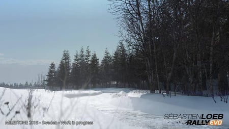 media/pim/sebastien-loeb-8059617104269_7.jpg