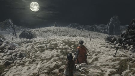 media/pim/sekiro-shadows-die-twice-5030917250385_9.jpg