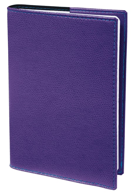 media/pim/sem-sas-principal-club-violet-sem-sas-principal-club-violet-3371010332342_0.jpg