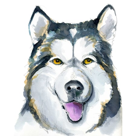 media/pim/set-12-feutres-tombow-couleurs-pastels-4003198104136_6.jpg
