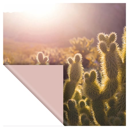 media/pim/set-6-papiers-photos-desert-5414135222957_2.jpg