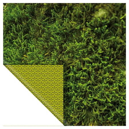 media/pim/set-6-papiers-photos-vert-5414135222926_2.jpg