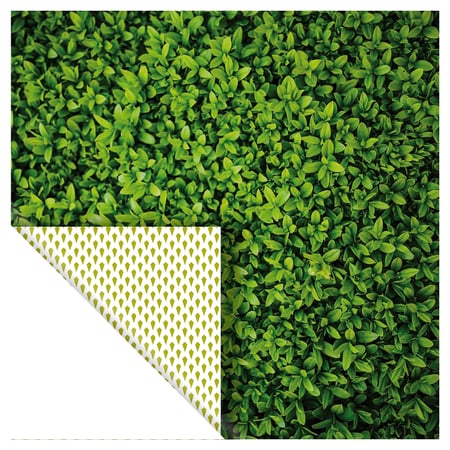 media/pim/set-6-papiers-photos-vert-5414135222926_3.jpg