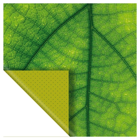 media/pim/set-6-papiers-photos-vert-5414135222926_4.jpg