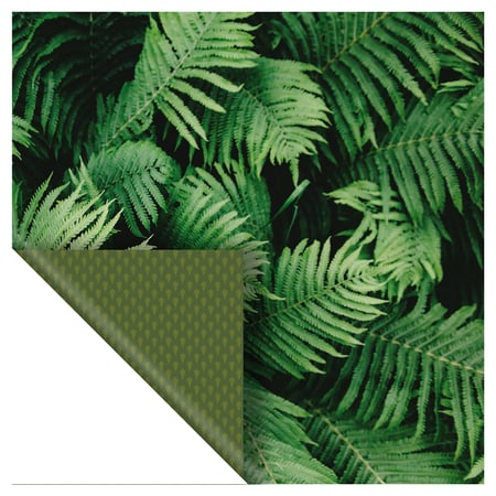 media/pim/set-6-papiers-photos-vert-5414135222926_5.jpg