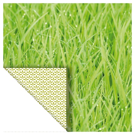 media/pim/set-6-papiers-photos-vert-5414135222926_6.jpg