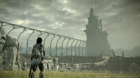 media/pim/shadow-of-the-colossus-ps4-0711719351979_8.jpg