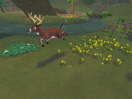 media/pim/simanimals-wii-5030931067143_6.jpg