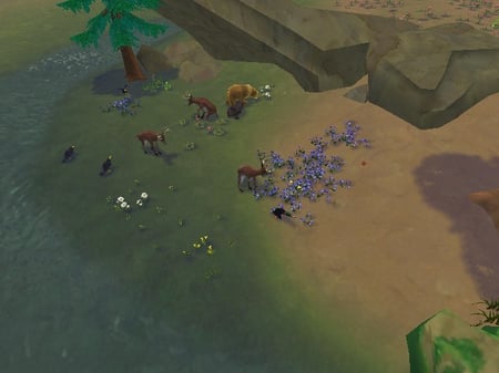 media/pim/simanimals-wii-5030931067143_7.jpg