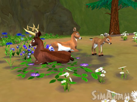 media/pim/simanimals-wii-5030931067143_8.jpg