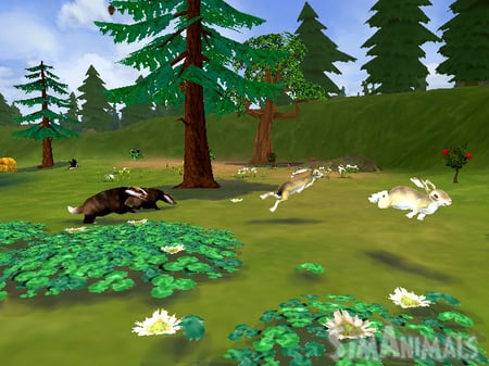 media/pim/simanimals-wii-5030931067143_9.jpg