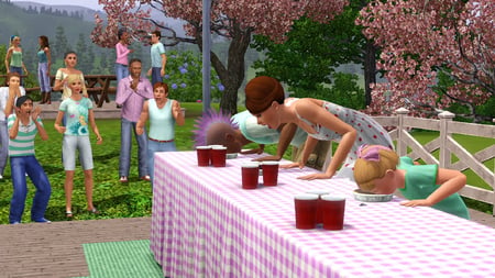 media/pim/sims-3-saisons-extension-5030931109072_11.jpg