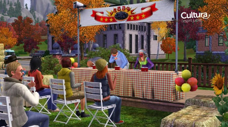 media/pim/sims-3-saisons-extension-5030931109072_3.jpg